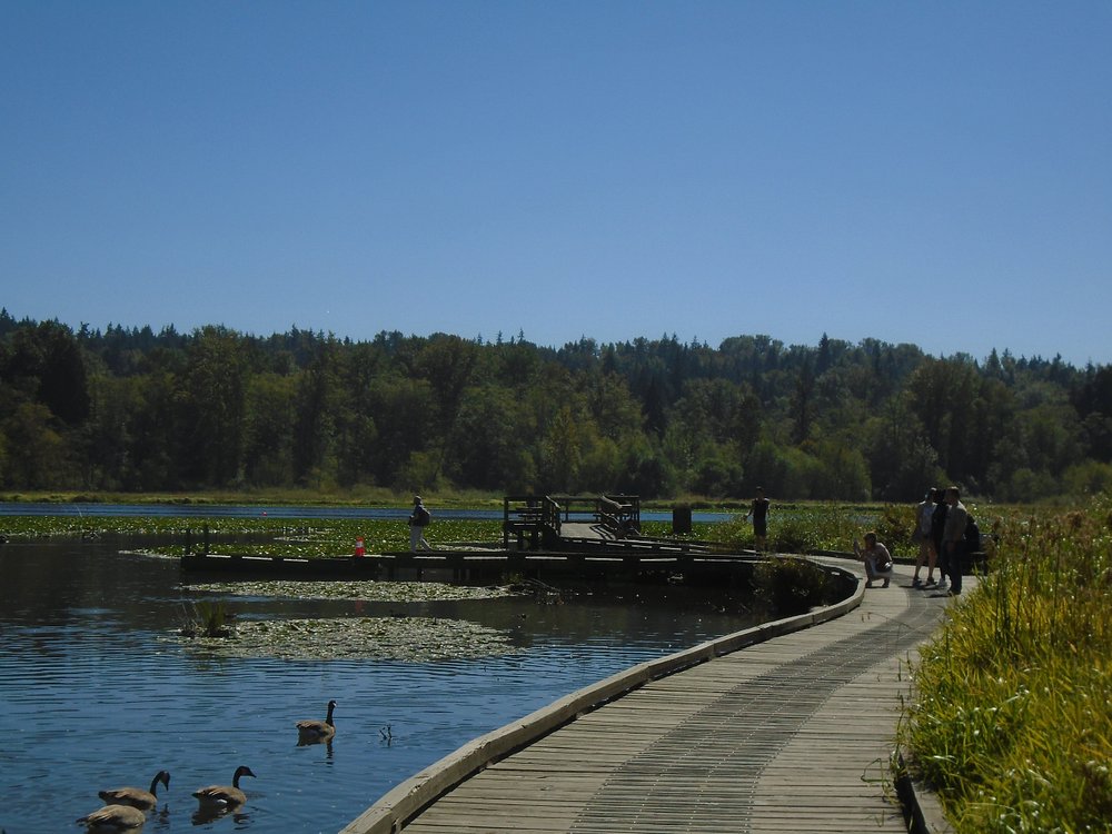 Burnaby Lake Park-min