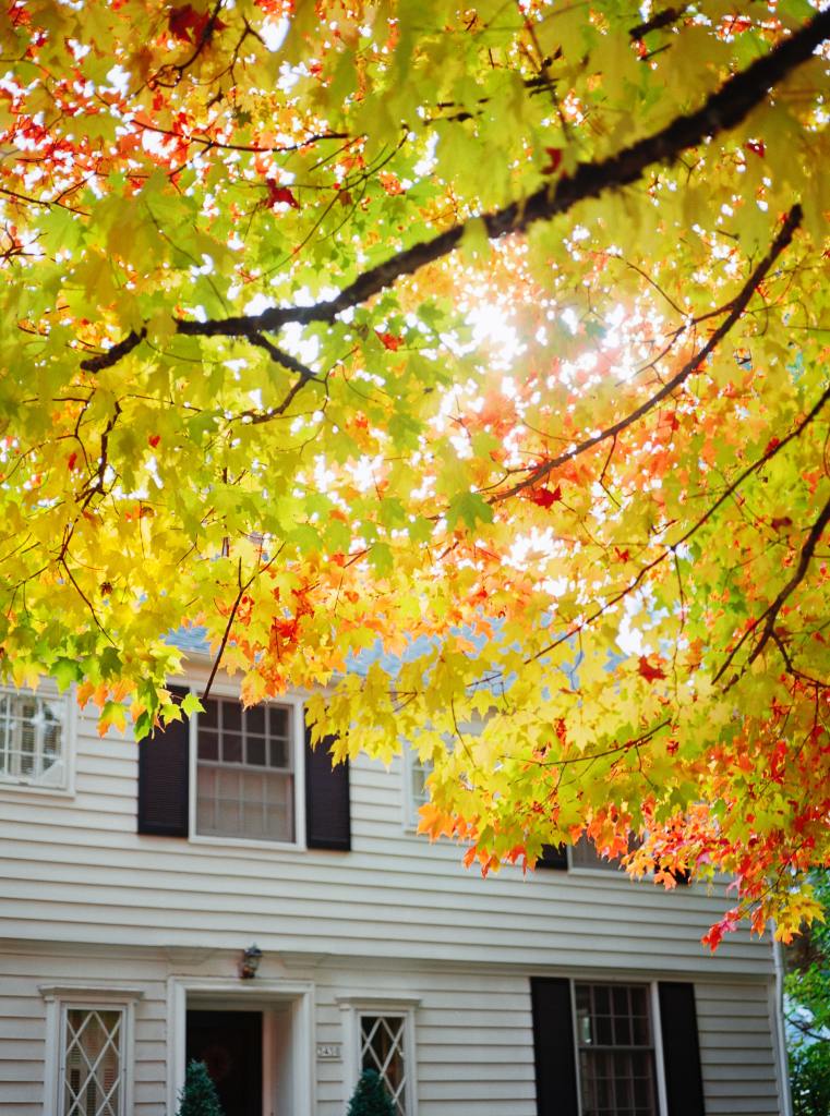 Seasonal House Fall