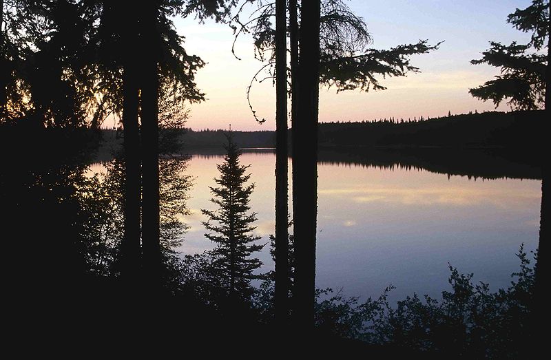 Wood-Buffalo-NP Pine Lake