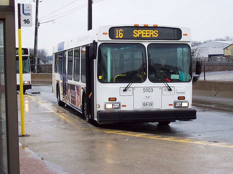 Oakville transit buses