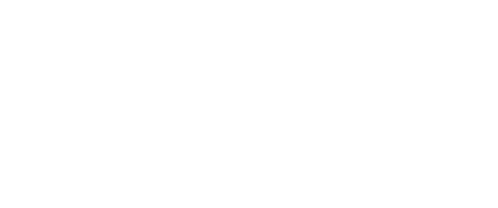 ZAP Architecture logo