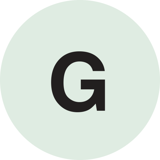 Globizen Group logo